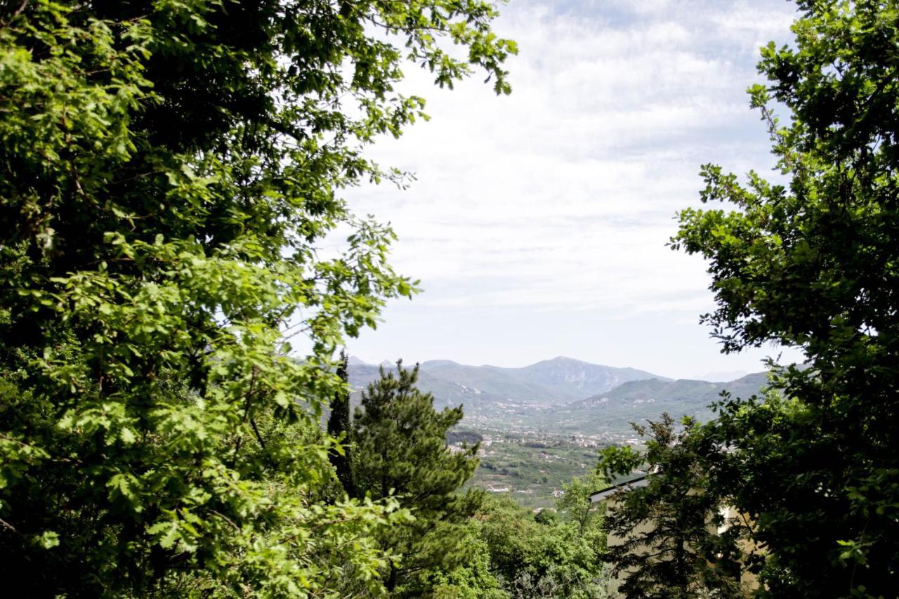 סאן צ'יפריאנו פיצ'נטינו La Quercia Antica B&B מראה חיצוני תמונה